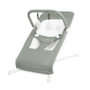 Baby Delight Highland Organic Baby Bouncer | Infant | 0 - 6 Months | 3-Position Recline | Organic Sage