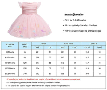 Glamulice Baby Girls Pink Flower Dress Infant First Birthday Outfit Wedding Bridesmaid Party Christmas Dresses 12-18 Toddler Lit