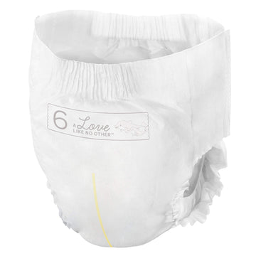 Bambo Nature Premium Training Pants (Sizes 4 To 6 Available), Size 6, 95 Count