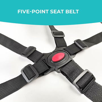 5 Point Harness Seat Belt