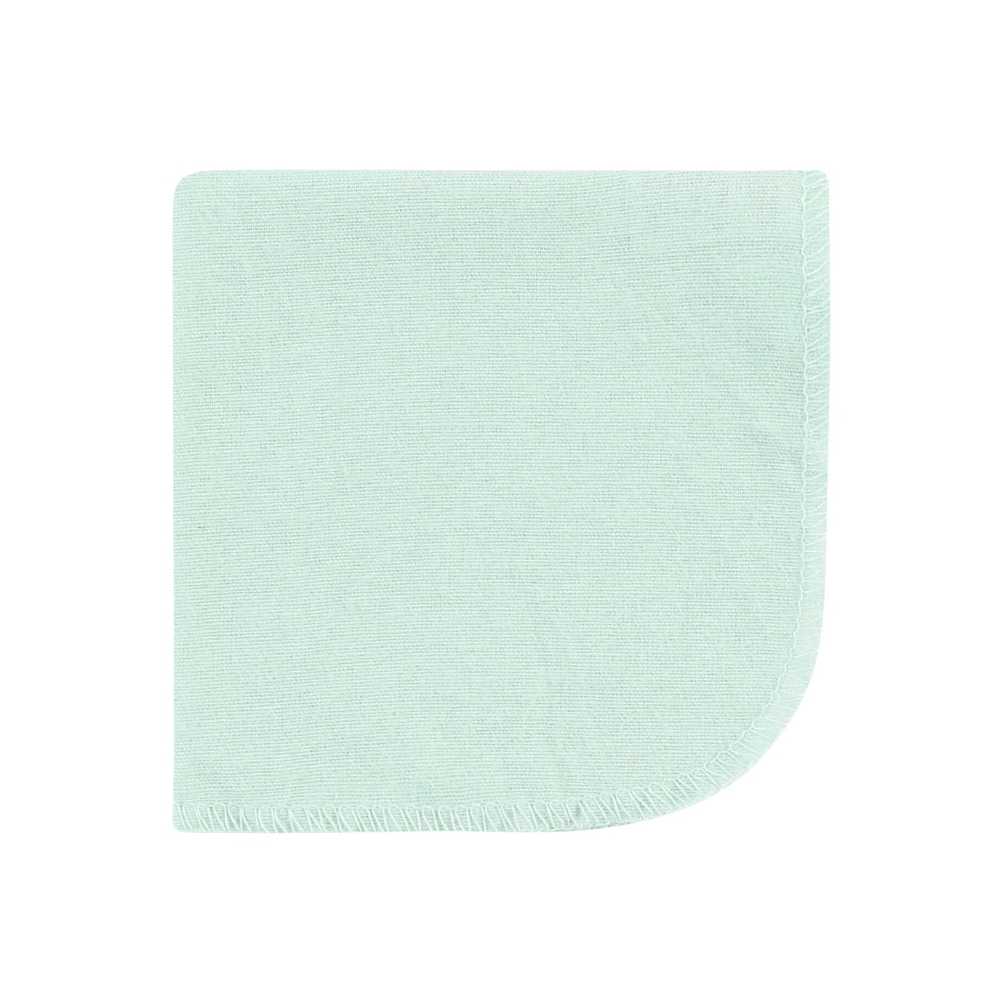 Hudson Baby Unisex Baby Flannel Washcloths, Boy Dino World 10Pk, One Size