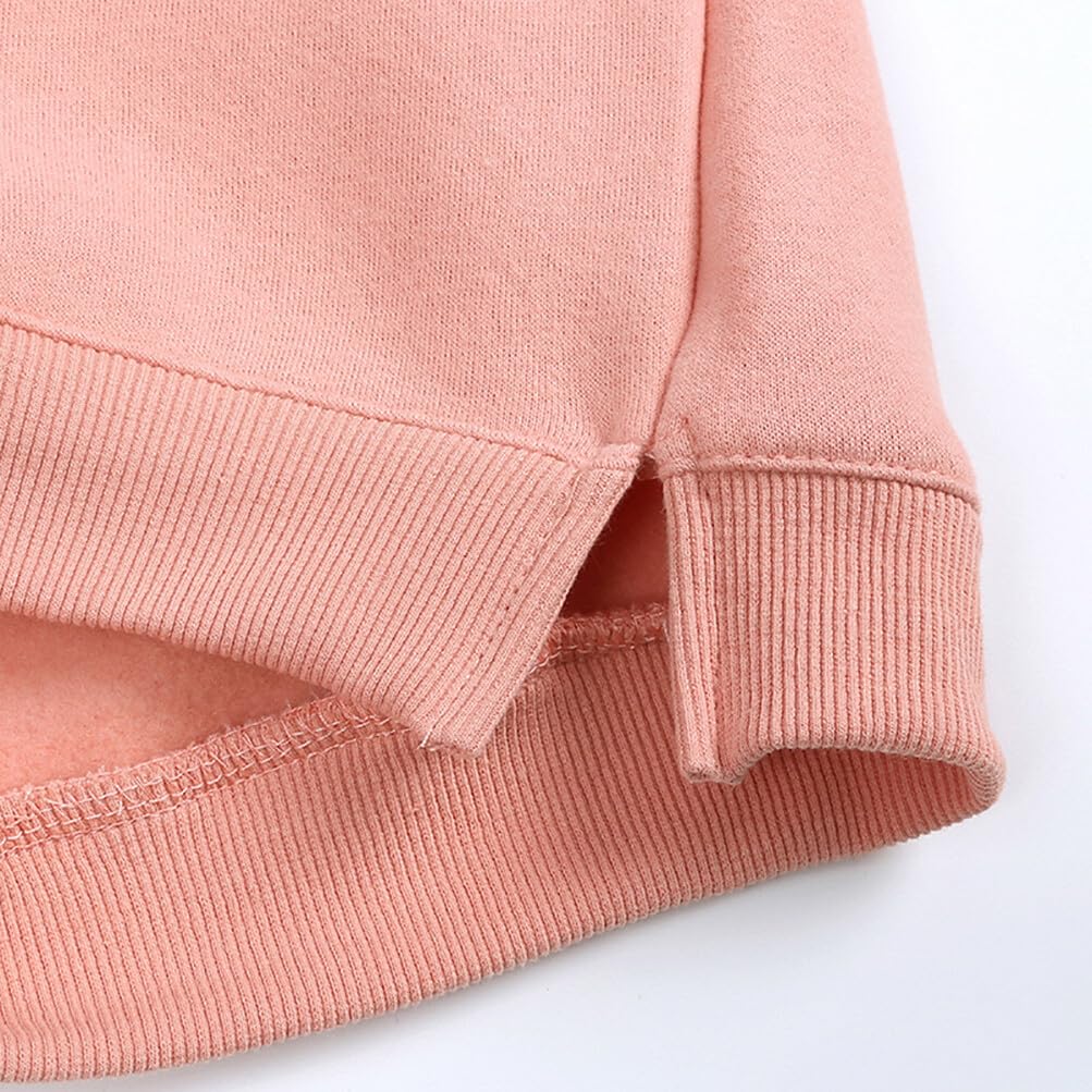 Rukosu Toddler Baby Boy Girl Fleece Pullover Sweatshirt Solid Color Crewneck Blouse Shirt Tops Warm Fall Winter Clothes Pink 4-5