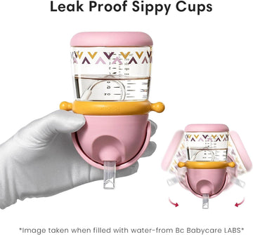 Bc Babycare Straw Sippy Cups For Toddler, No Spill Sippy Cups For Baby 1+ Year Old, Transition Weighted Sippy Cup With Straw And