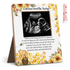 Hatzelou Winnie Baby Shower Sign Picture Frame - Message From The Bump Sonogram Frame, Honey Theme Gender Reveal, Pregnancy Mile