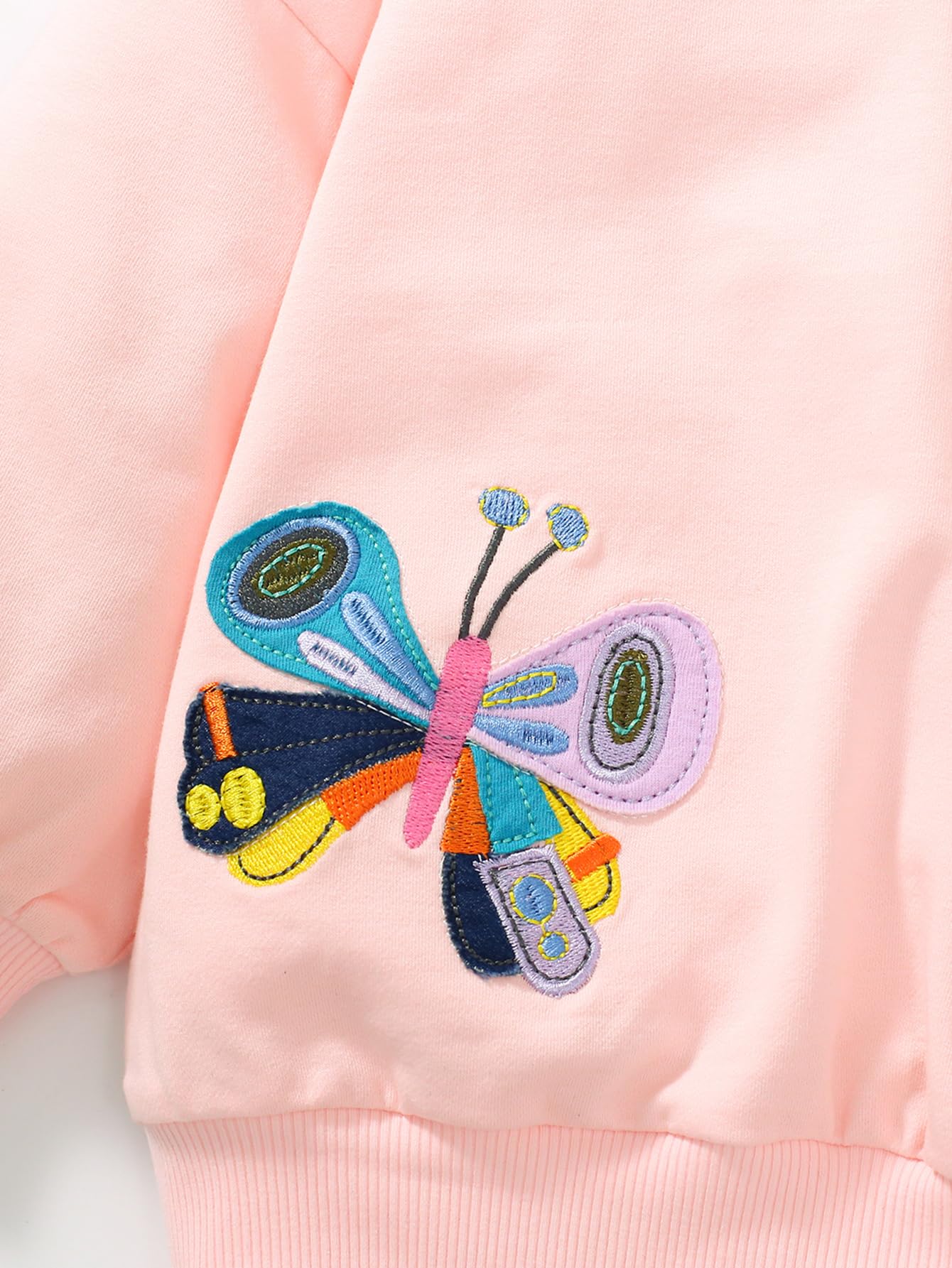 Baby Girl Sweatshirt Butterfly Long Sleeve Crewneck Cotton Shirt Kids Fall Pullover Christmas Toddler Girl Animal Sweaters Tops