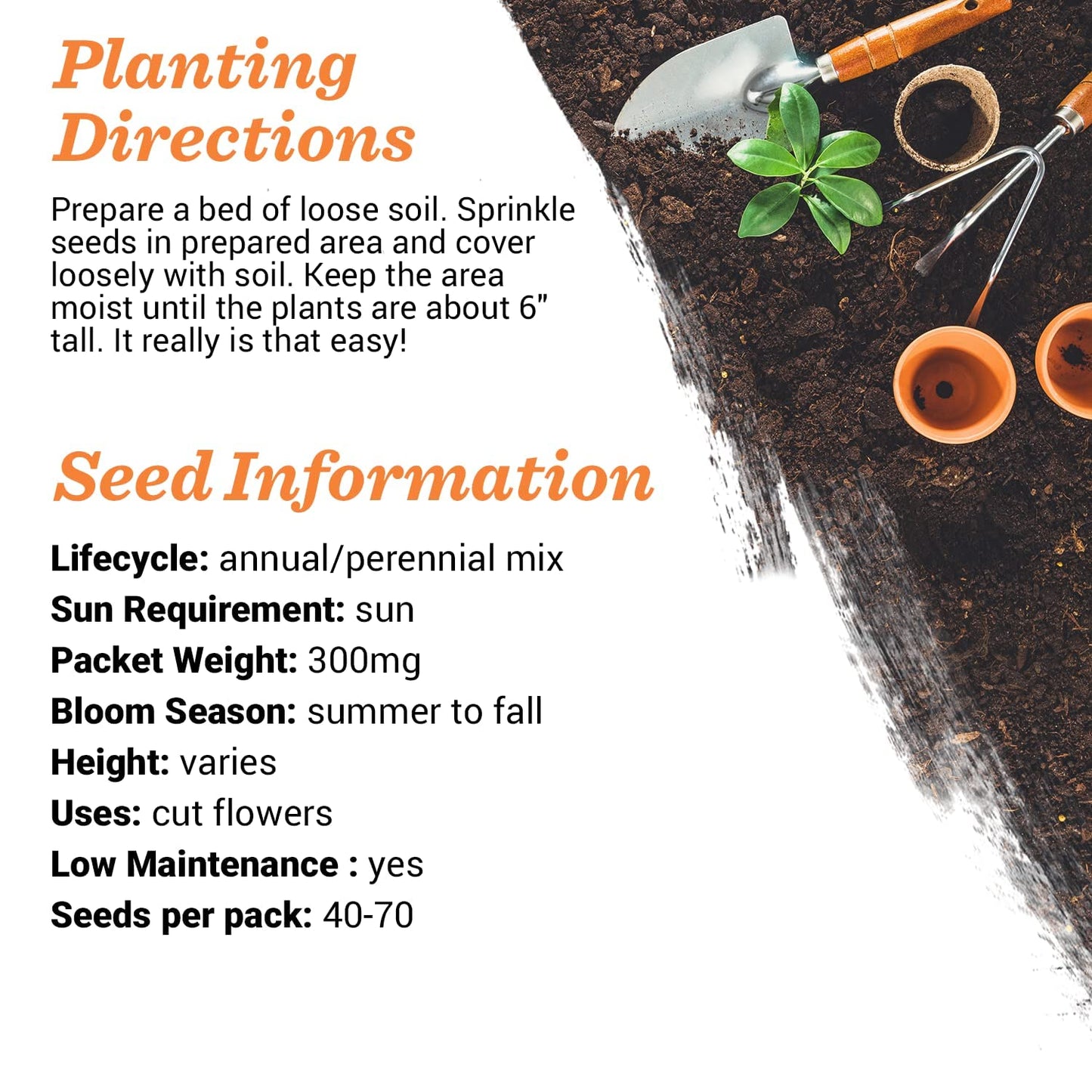 Bentley Seed Co. Oh Baby Seed Packets | 25 Non-Gmo Pre-Filled Wildflower Seed Packets | Baby Shower Favors For Boys Or Girls | W