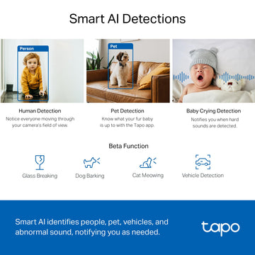 Tp-Link Tapo 2K Qhd Pan/Tilt Security Camera For Pet Camera, Baby Monitor, Motion Detection, Motion Tracking, 2-Way Audio, Night