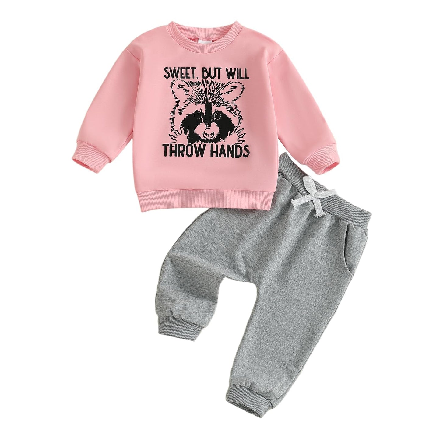 Toddler Baby Girl Fall Outfit Letter Print Sweatshirt Tops Elastic Waist Pant Cute Infant Newborn Winter Clothes Set (Raccoon Pi
