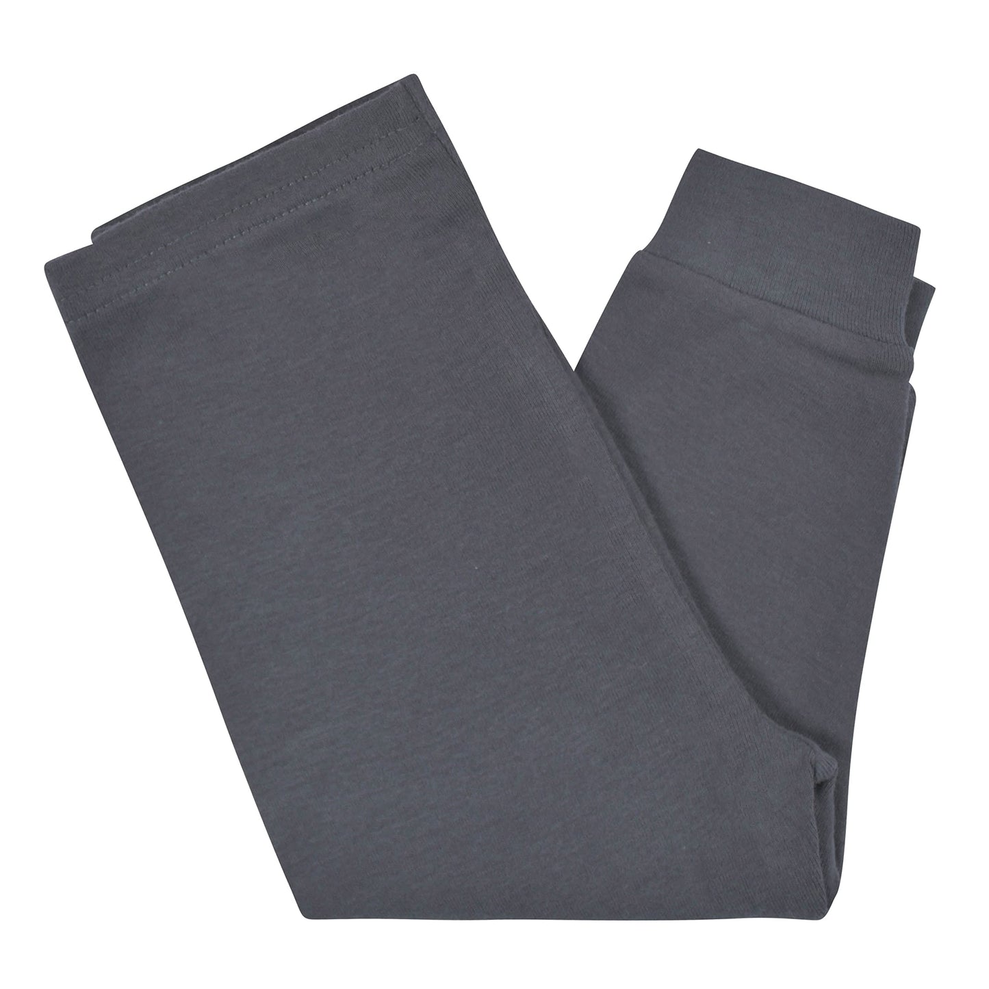 Gerberbaby Boystoddler Snug Fit 4-Piece Pajama Seteverybody Roar Blue12 Months