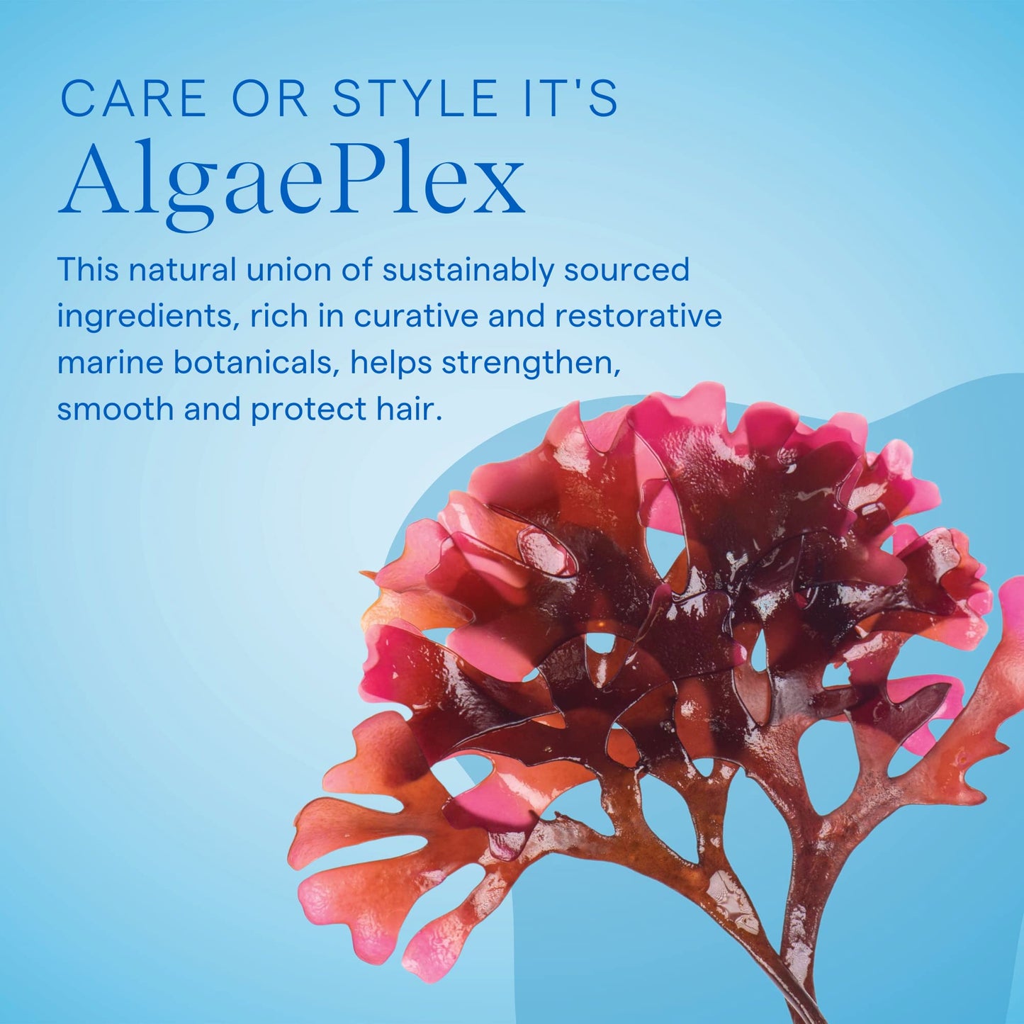 Aquage Finishing Spray, Firm Hold Hairspray, Delivers Humidity Resistance And Lasting Style Retention With Max Shine High Voc, 1