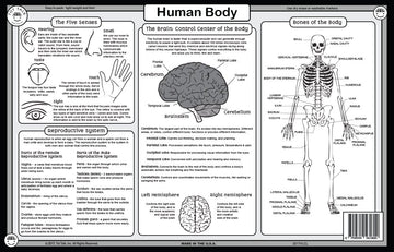 Tot Talk Human Body Educational Placemat For Kids - Made In Usa - Durable, Double-Sided, Body'S Biology, Including Its Systems,