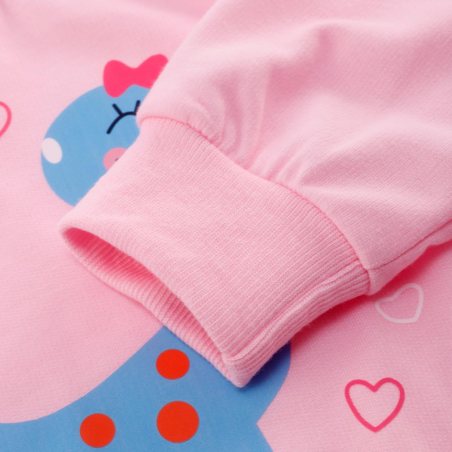 Retsugo Toddler Girls Outfits Girls Dinosaur Clothes Long Sleeve Dino Tshirt And Pants 2Pcs Dinosaur Outfit For Girls Clothes Fa