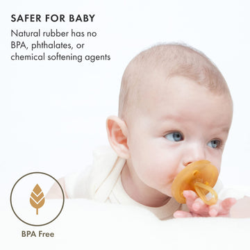 Natursutten Pacifiers 12-18 Months - 1-Pack Original Shield Orthodontic Nipple Natural Rubber Safe & Soft Bpa-Free Pacifiers For