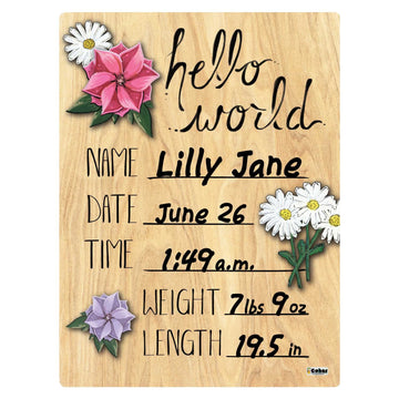 Cohas Hello World Newborn Baby Announcement Printed Wood Sign With Mixed Flower Theme, 9 By 12 Inches, No Marker
