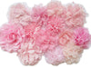 Yycraft 10Pcs Pink Chiffon Flower For Girls Headband Baby Flowers Bows,Crafts,Party Decoration(3'-4.5')
