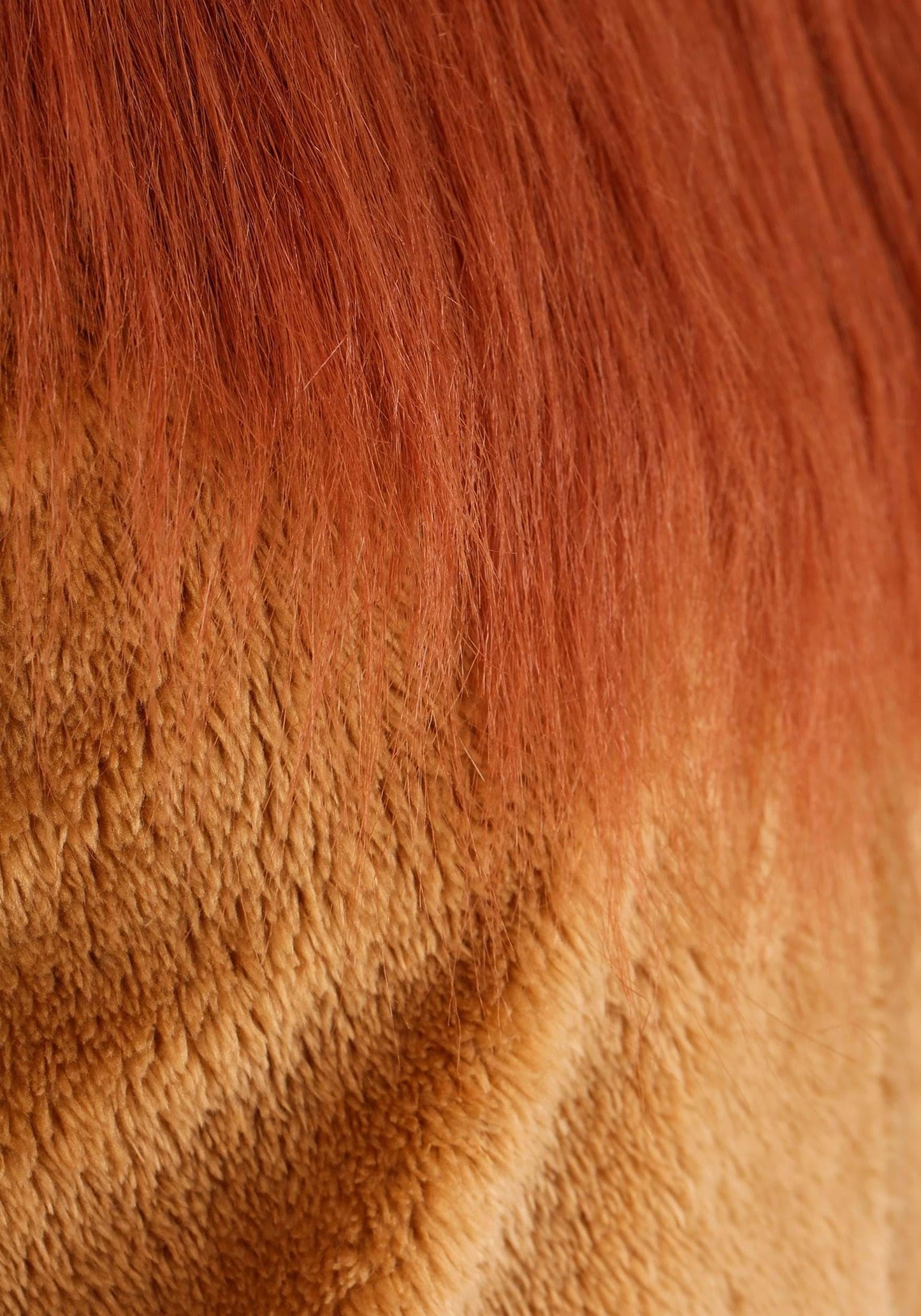 Kids Deluxe Lion Costume, Wild King Of The Jungle Cat Safari Roar Mane Outfit For Dress-Up Small