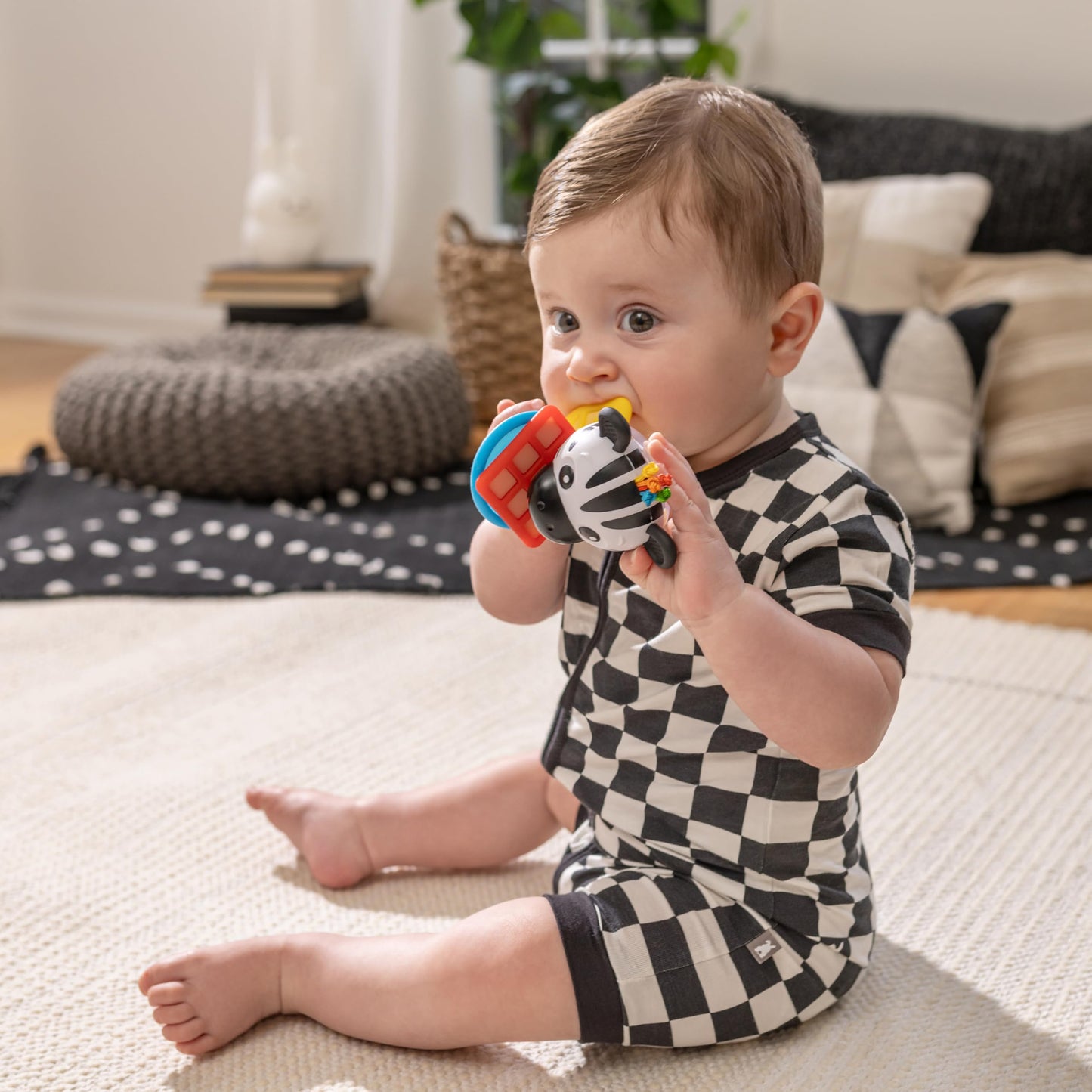 Baby Einstein Shake-a-Shape Zen Teether Toy, Multisensory, Ages 3 Months and Up