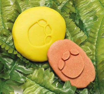 Lets Investigate Dinosaur Footprint