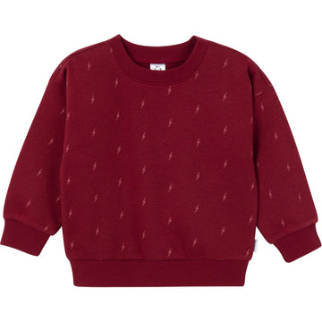 Gerber Baby Boys Toddler 2-Piece Fleece Sweatshirt And Jogger Set, Burg Lighting, 12 Months