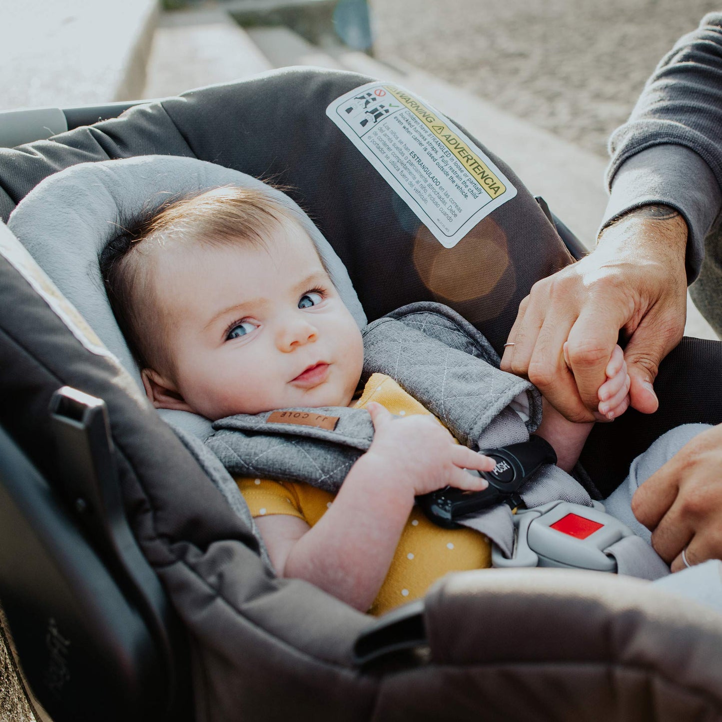 Jj Cole Reversible Body Support Blackout Quilted