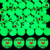Seenelling 24 Pcs Christian Glow in the Dark Bouncy Balls Easter Jesus Bible Verse Rubber High Bouncing Balls Christian Party Fa
