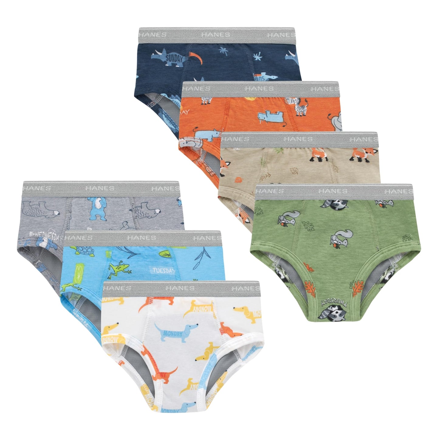 Hanes Toddler Potty Trainer Briefs for Toddlers, Light Leaks Potty Training Underwear for Toddler Boys, Multipacks