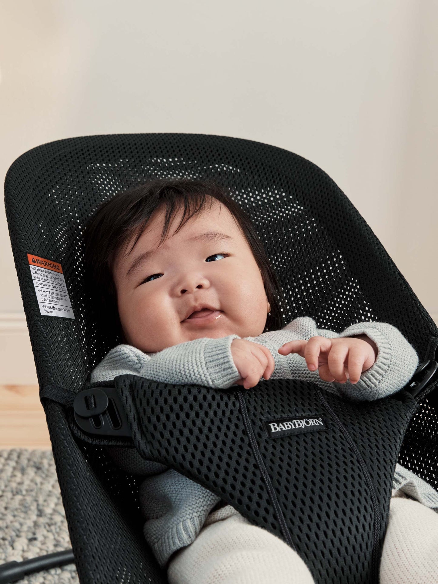 Babybjrn Bouncer Bliss, Black Frame, Mesh, Black (006225Us)