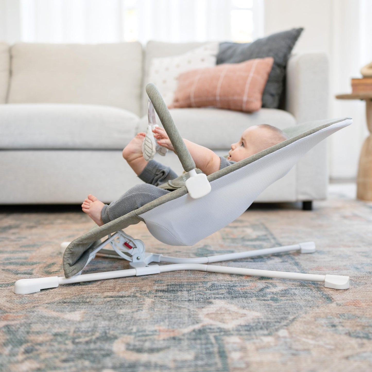 Baby Delight Highland Baby Bouncer | Infant | 0 - 6 Months | 3-Position Recline | Sage Tweed