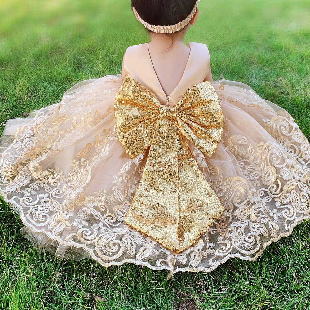 Baby Princess Girls Embroidery Dresses Toddler Lace Ruffles New Year Easter Tutu Dress With Headwear (Golden,80)