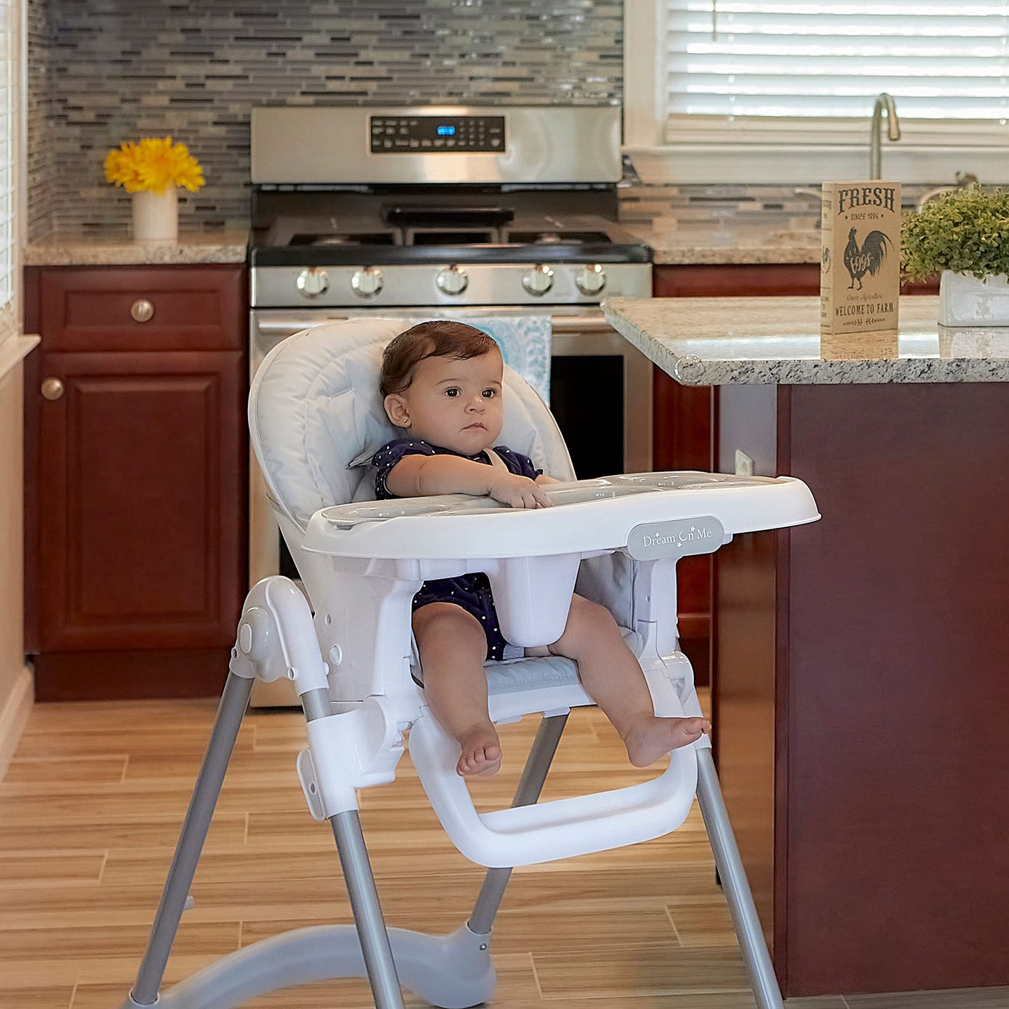 Dream On Me Solid Times High Chair for Babies and Toddlers in Grey, Multiple Recline and Height Positions, Lightweight Portable