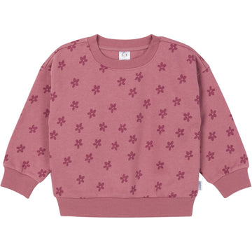 Gerber Baby Girls Toddler 2-Piece Fleece Sweatshirt And Jogger Set, Daisies, 4T
