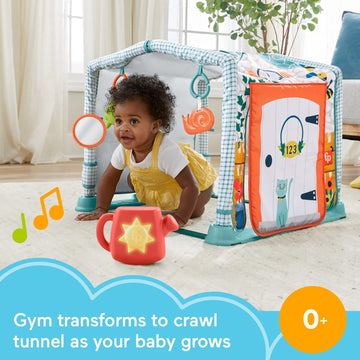 Fisher-Price Baby Playmat 3-In-1 Crawl & Play Activity Gym, Cottage Theme With Tunnel & Developmental Toys For Newborns 0+ Month