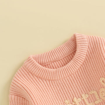Toddler Girl Valentines Day Outfit Cute Valentines Day Sweater Little Love Embroidery Knit Pullover Sweatshirt Top(E-Pink Little