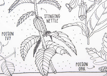 Modern-Twist Waterproof, Dishwasher Safe Mark, Mat & Marker Set, Dangerous Plants