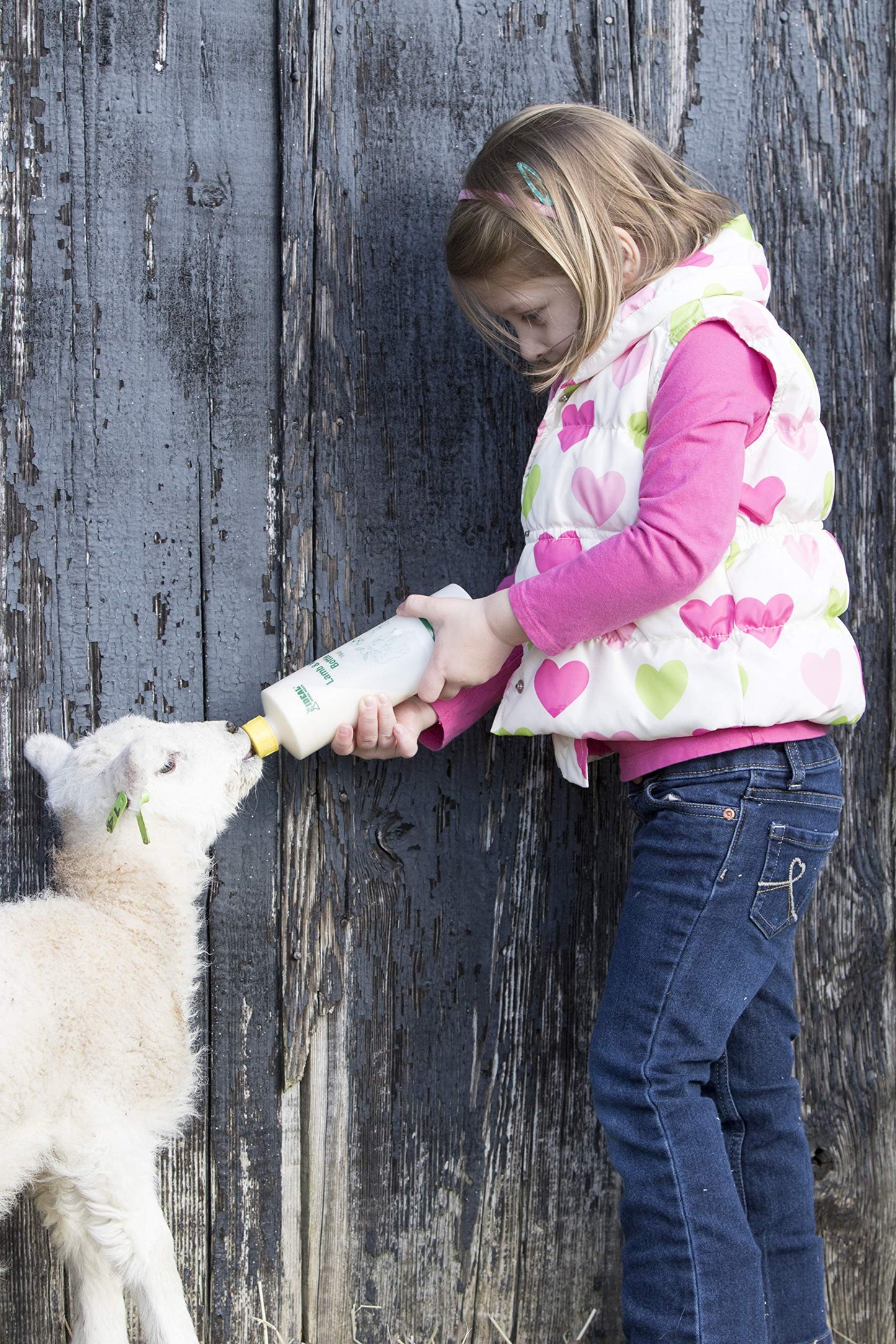 Ideal 7004 Lamb & Kid Bottle 16Oz W/Red Screw-On Teat