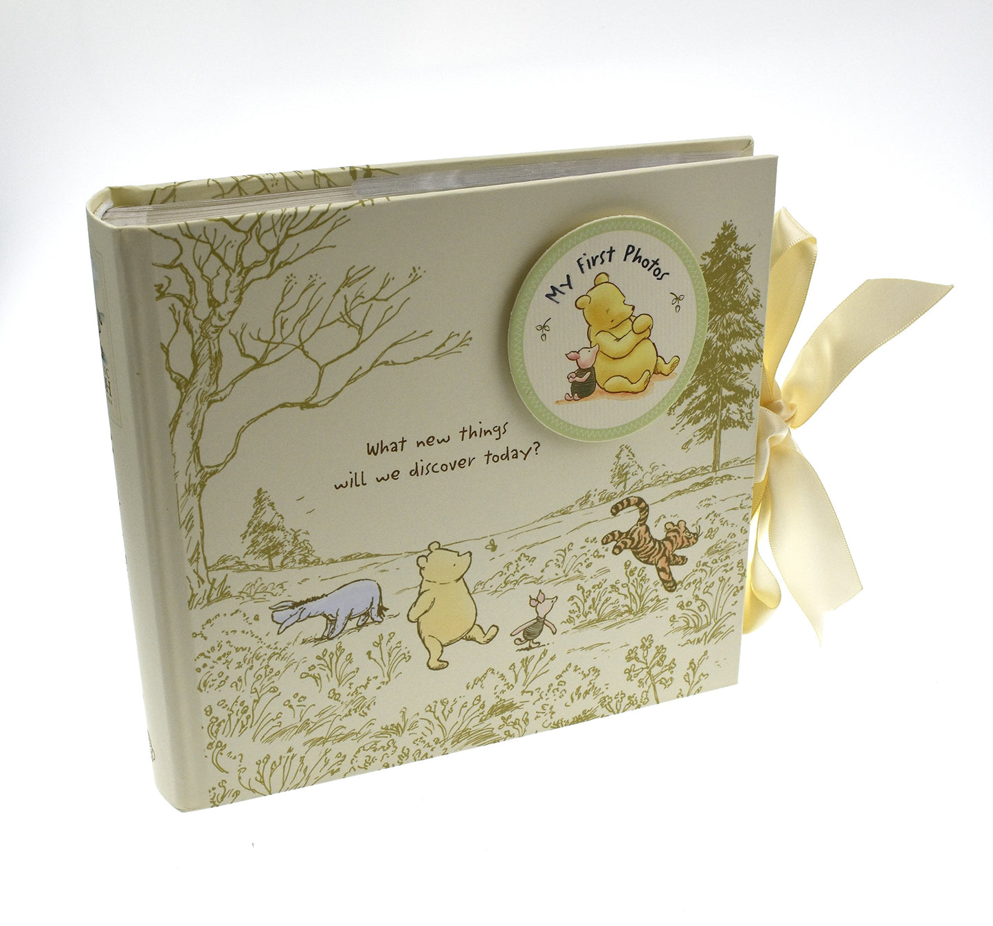 Disney Magical Beginnings Classic Pooh My First Photos Baby Album For 6 X 4 Photographs New (Di165), 200 G Wbm-Gft45