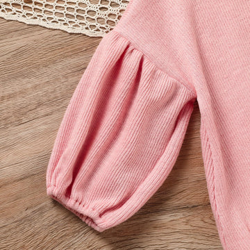 Toddler Baby Girl Sweater Round Neck Loose Long Sleeve Candy Color Knitted Pullover Tops Autumn Winter Sweatshirt (Pink #2, 2-3T