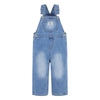 Levi'S Baby Boys' Denim Overall, Basil Sky, 3 Months
