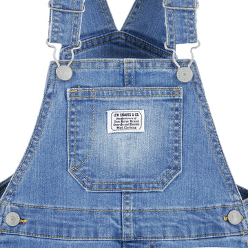 Levi'S Baby Boys' Denim Overall, Basil Sky, 3 Months