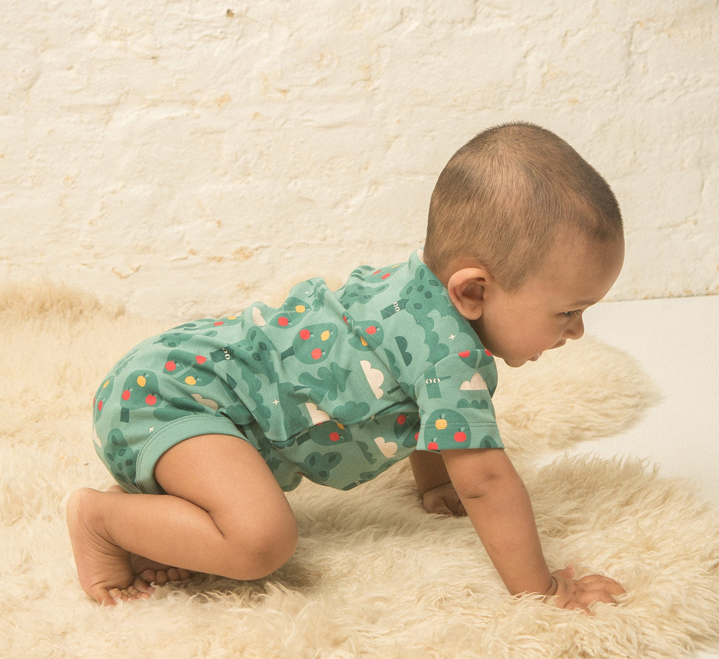Ecoable Organic Cotton Baby Short Sleeve Bodysuit Onesie (9-12 Months, Cloud Pink)