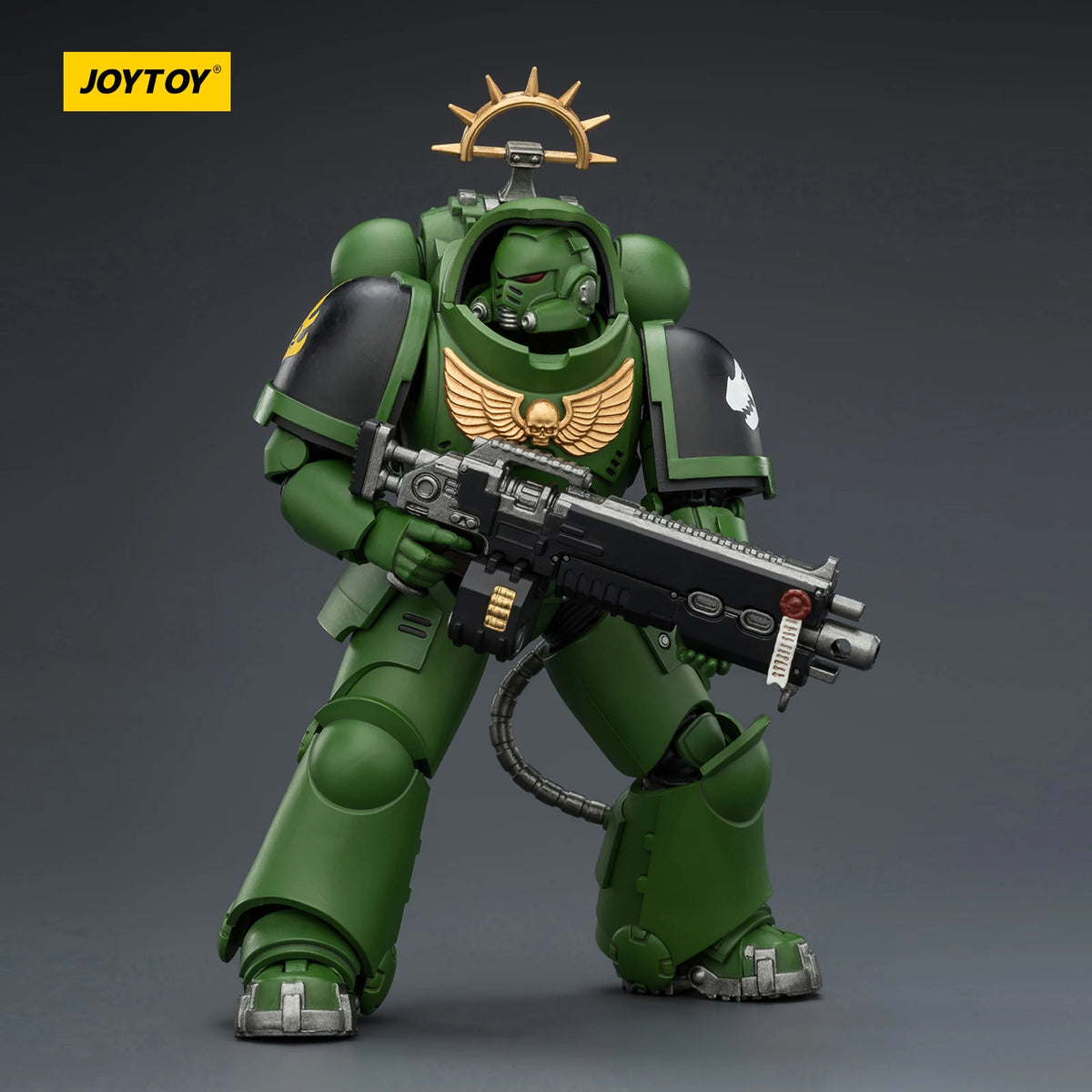 JOYTOY Dark Source Warhammer 40k Salamanders Primaris Heavy Intercessor 1/18 Model Toy JT03677 with Heavy Bolt Rifle Collectible Model