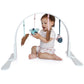 play gym | feather - white