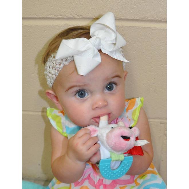 Elephant and Cow Combo Teether for Babies Pack of 2