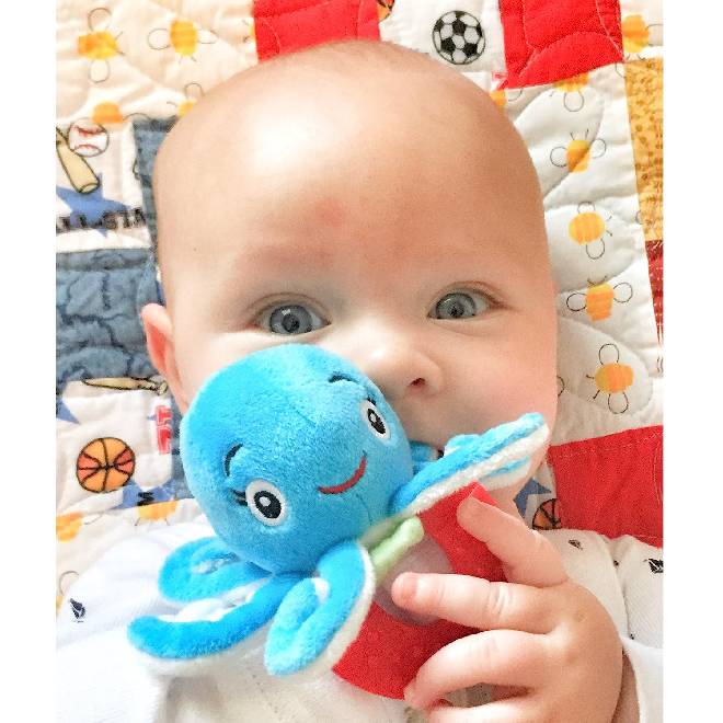 Cow and Octopus Combo Teethers for Babies | Wristy Buddy Pack of 2