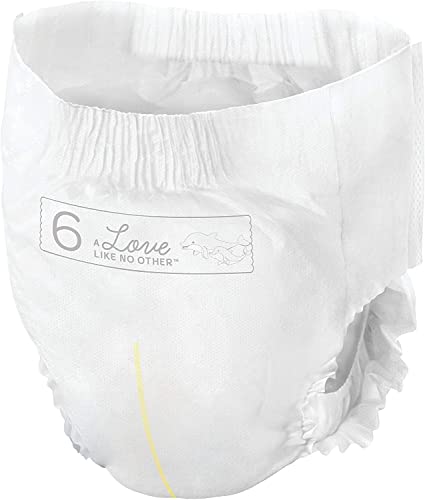 Bambo Nature Premium Training Pants - French/English Packaging, Size 6, 19 Count