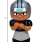 Party Animal Nfl Carolina Panthers Big Sip 3D Water Bottle, 16Oz