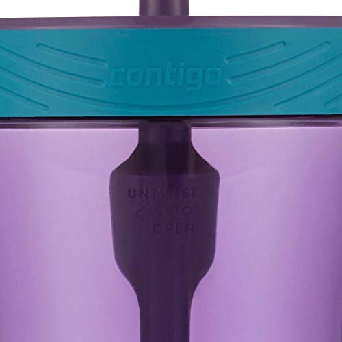 Contigo Spill-Proof 14Oz Kids Tumbler With Straw, Bpa-Free Plastic, Eggplant Design, Fits Cup Holders, Top-Rack Dishwasher Safe