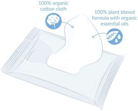 Natracare Organic Cotton Baby Wipes 50 ct (12-Pack)