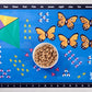 3-Pack Math Placemat Bundle