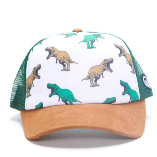 Born To Love Baby Hats-Toddler Boy Outfit- Dinosaur- Toddler Baseball Hat, Newborn Youth Flat Brim Mesh Trucker Surf Skatebro Fi